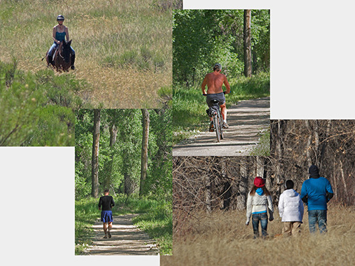 Activities Cmposite showing biking, hiking, jogging and horseback riding