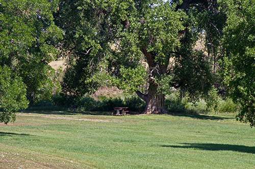 DeerCreekPicnicArea_0437 Deer Creek Picnic Area