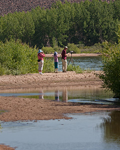 Bird watchers near the mount of Plum Creek