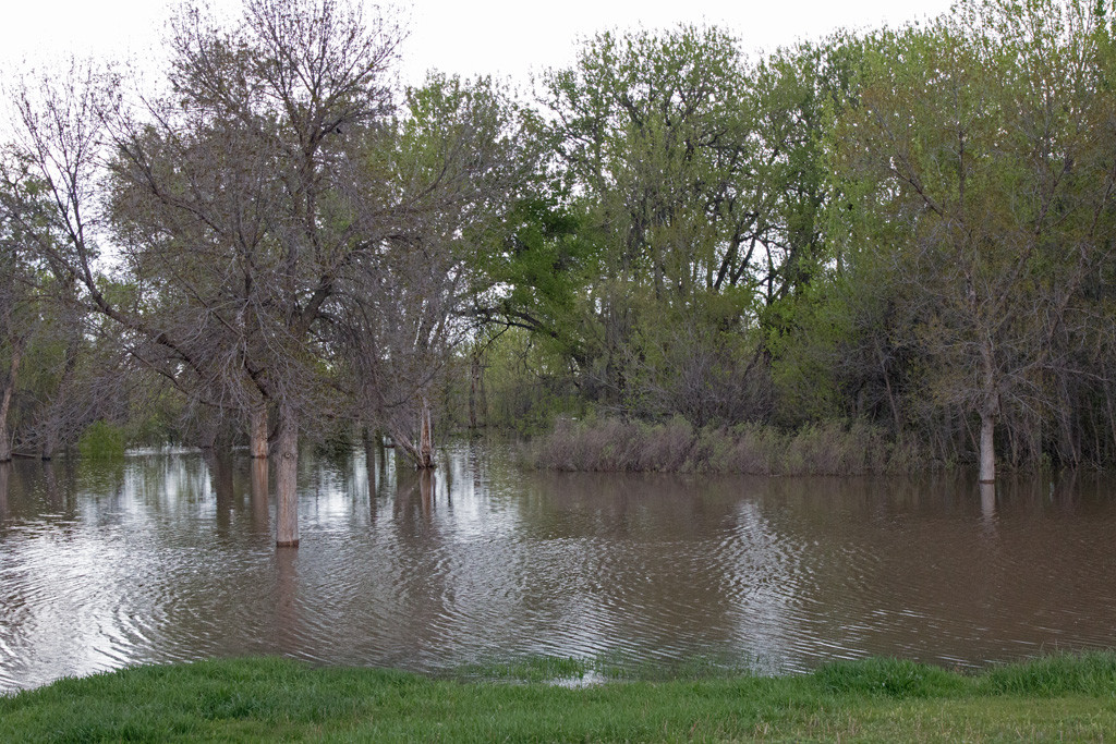 Picnic area near the balloon launching site on May 14, 2015. Click photo to enlarge.