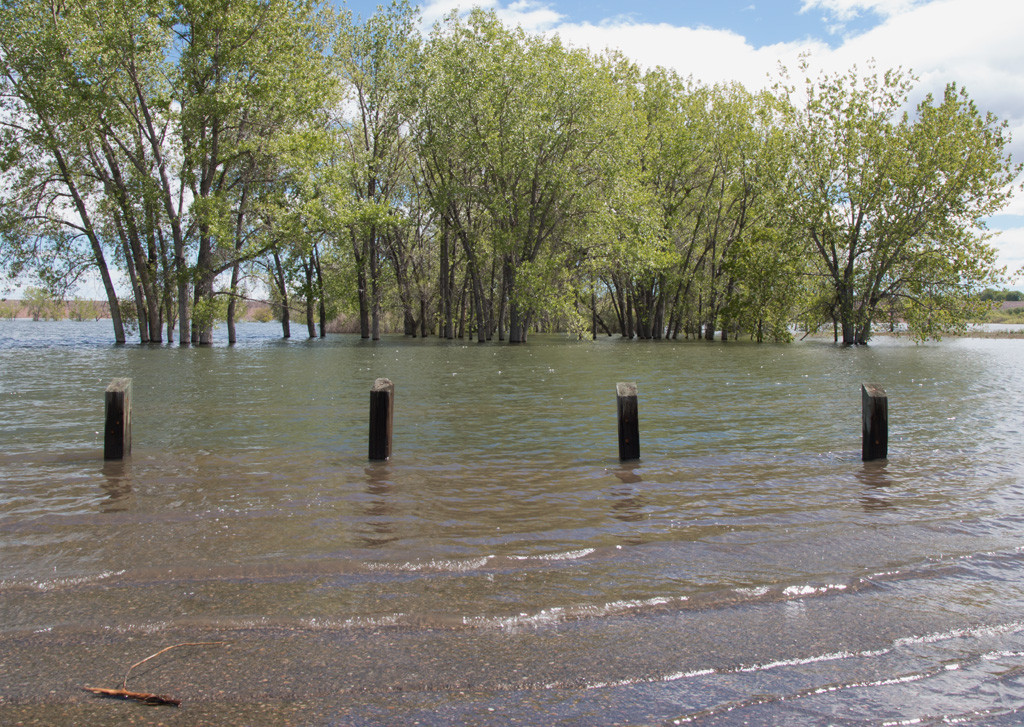 Spit on the east side of the marina from the east marina parking lot on May 17, 2015. Click to enlarge.