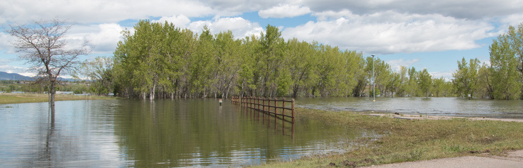 Path to the handicapped fishing area on the spit west of the marina on May 17, 2015. Click photo to enlarge.