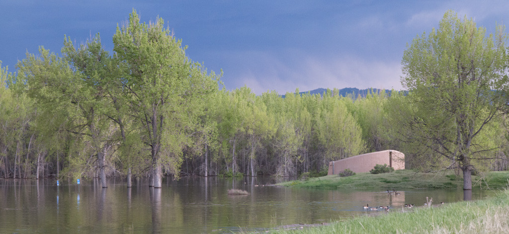 Jamison Picnic Area on May 14, 2015. Click photo to enlarge.