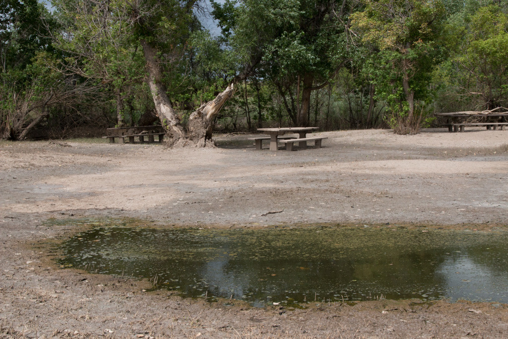 Deer Creek Picnic Area