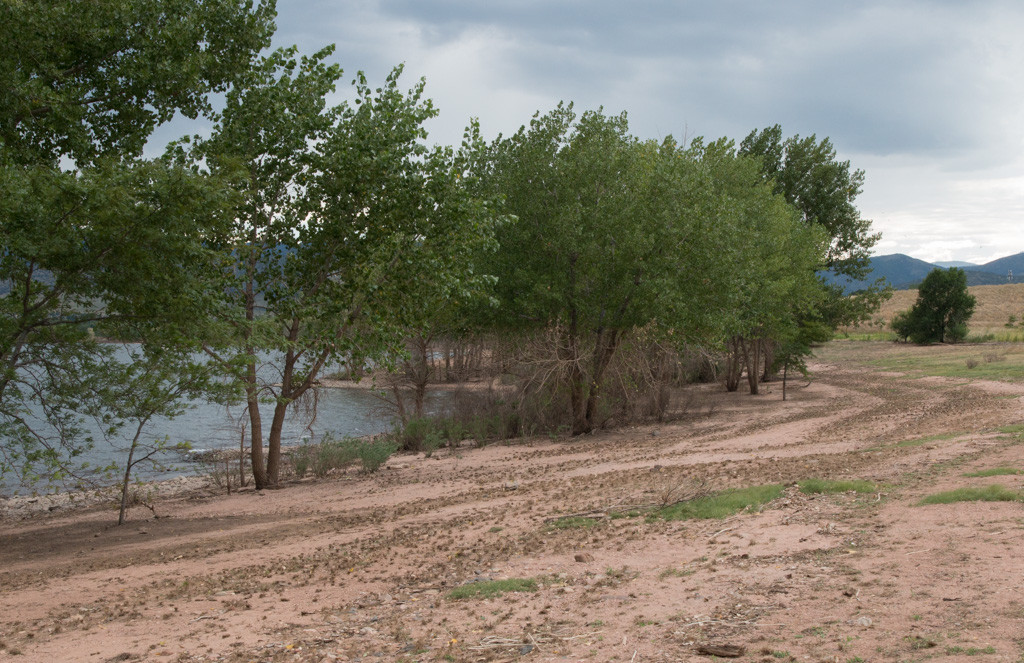 Chatfiled Shoreline