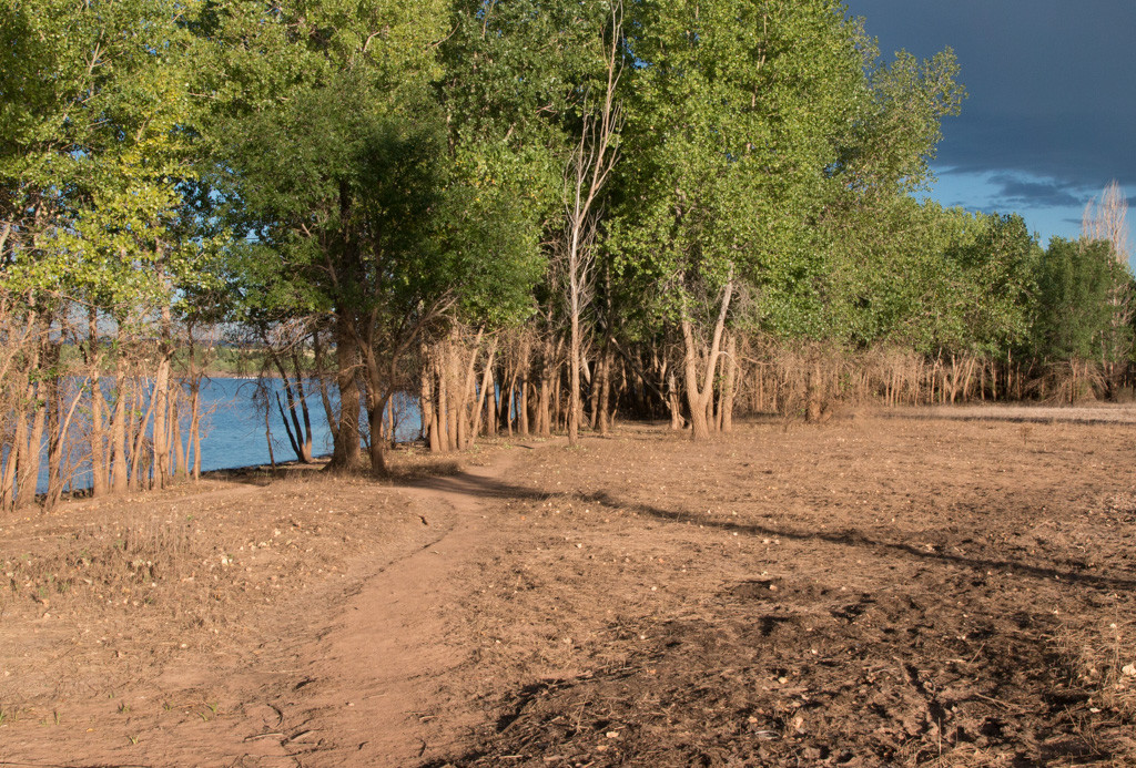 Shore Near Fox Run