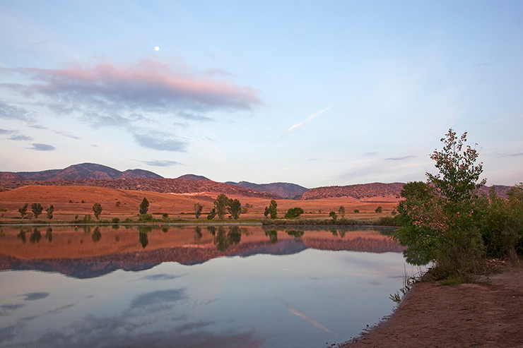 Reflections in a Pond